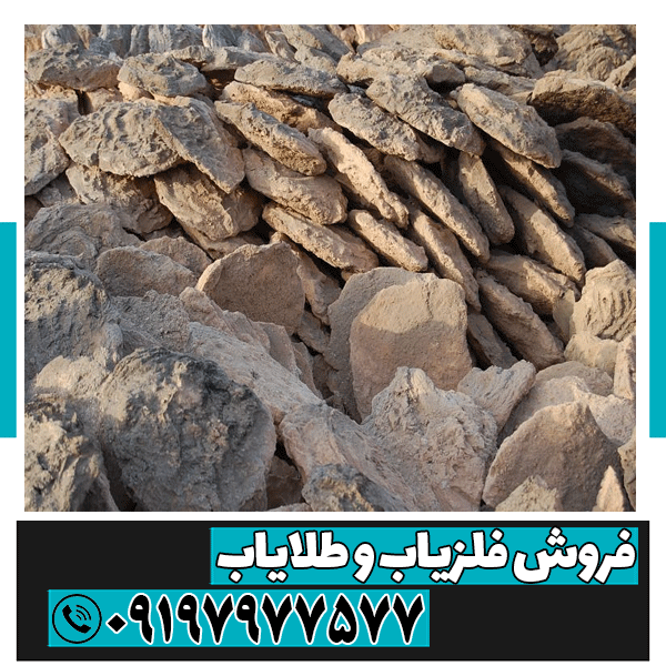 ساروج و کشف گنج باستانی