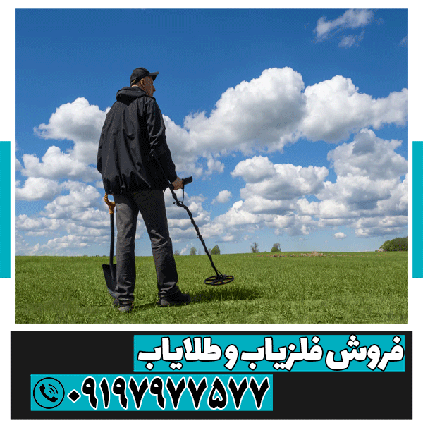 تفاوت‌ بین فلزیاب حرفه ای و معمولی