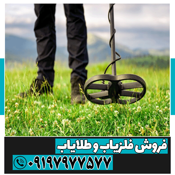 فلزیابی در مناطق جنگلی