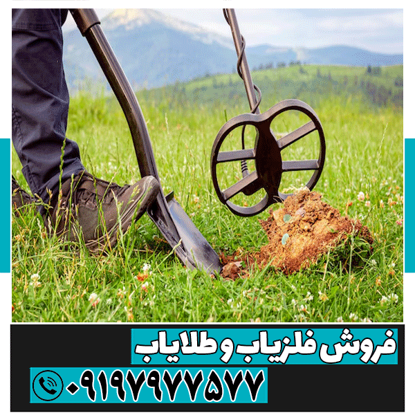 فلزیابی در مناطق جنگلی