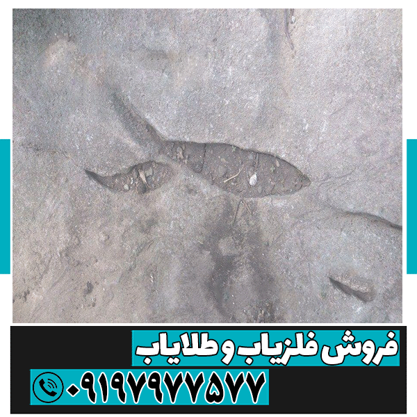 نماد ماهی در دفینه یابی