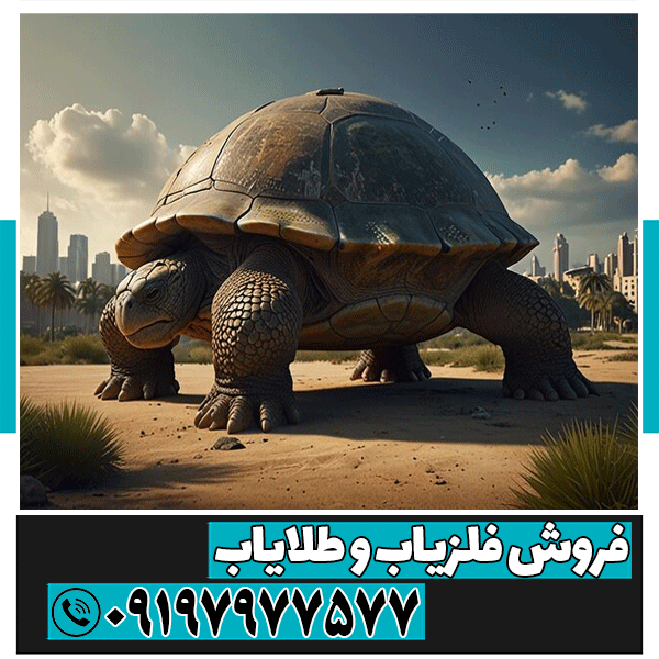 سرمال دفینه لاک پشت