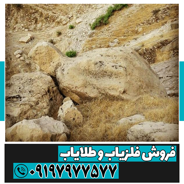 سرمال دفینه لاک پشت