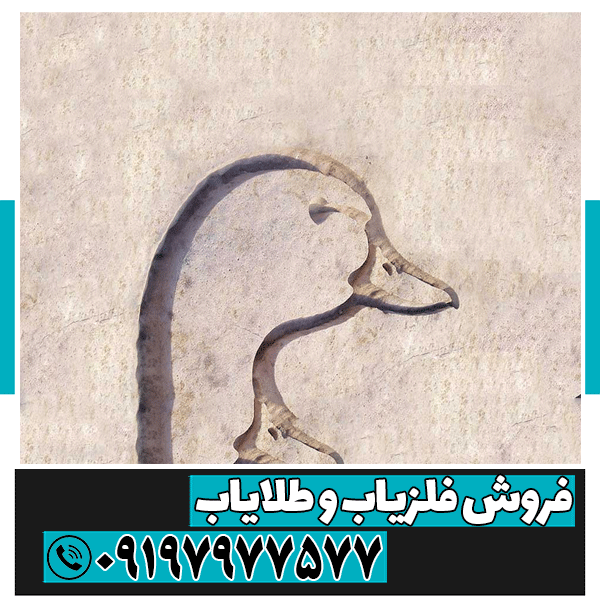 نماد اردک در دفینه یابی