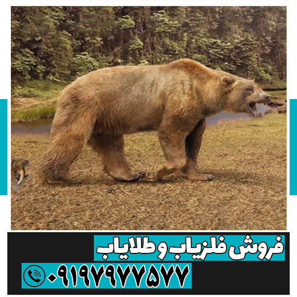 نماد خرس در دفینه یابی