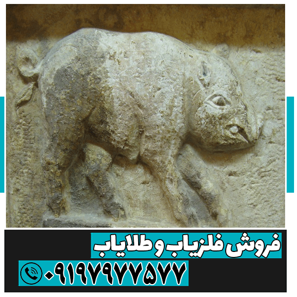 نماد خوک در دفینه‌یابی