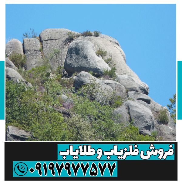 نماد خوک در دفینه‌یابی
