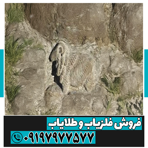 نماد قوچ در دفینه یابی