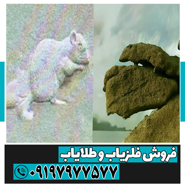 نماد موش در دفینه یابی