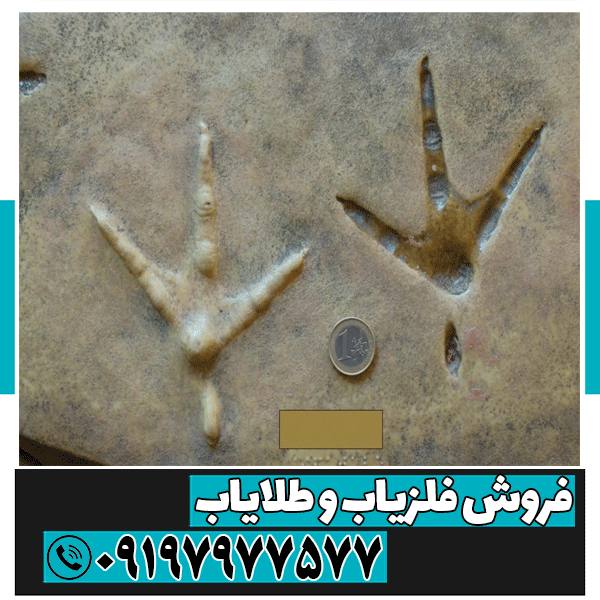 نماد پای مرغ در دفینه یابی