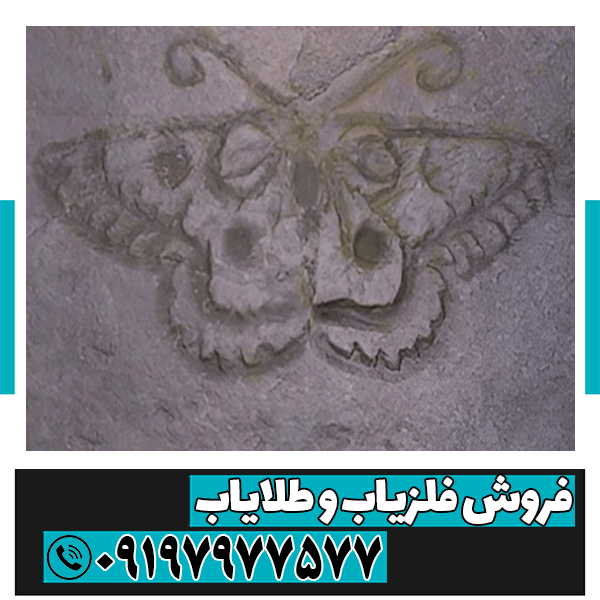 نماد پروانه در دفینه یابی