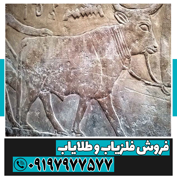 نماد گاو در دفینه یابی