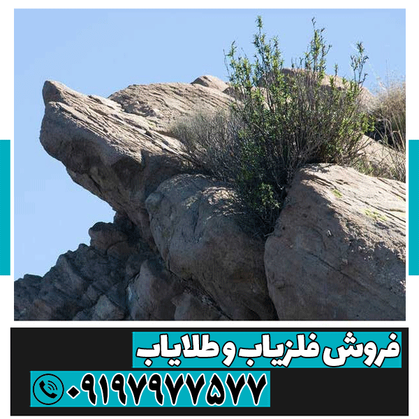 نماد گرگ در دفینه یابی