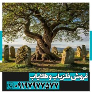 نماد درخت در دفینه یابی 