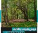 نماد درخت در دفینه یابی